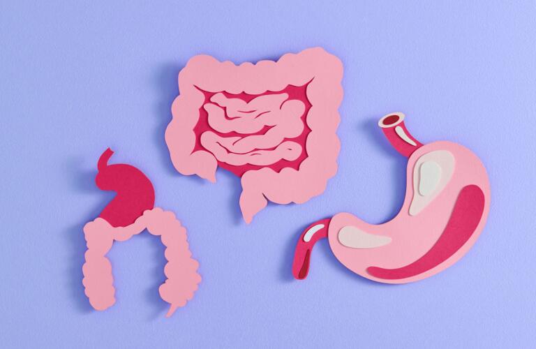 10 Health Facts About Digestive System
